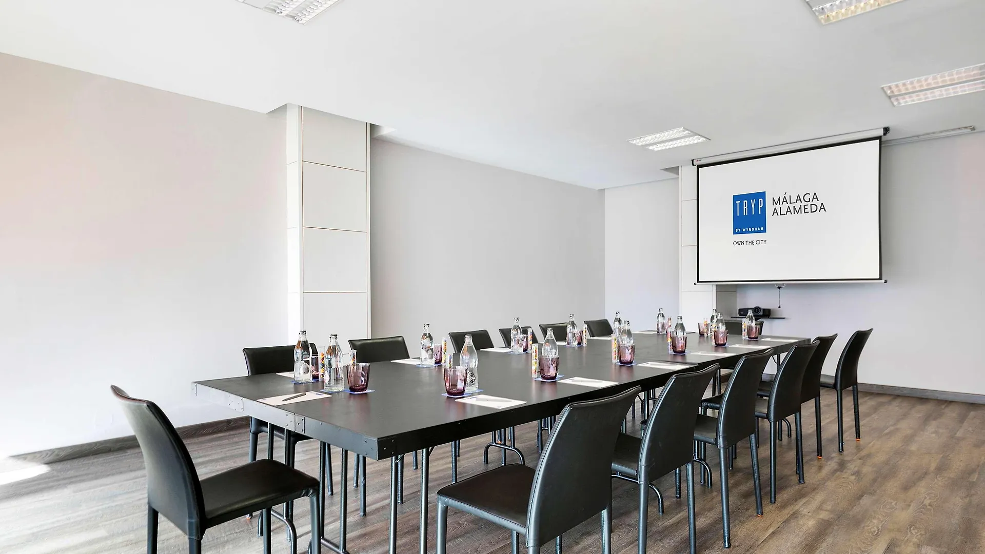 Hotel Malaga Alameda Centro Affiliated By Melia